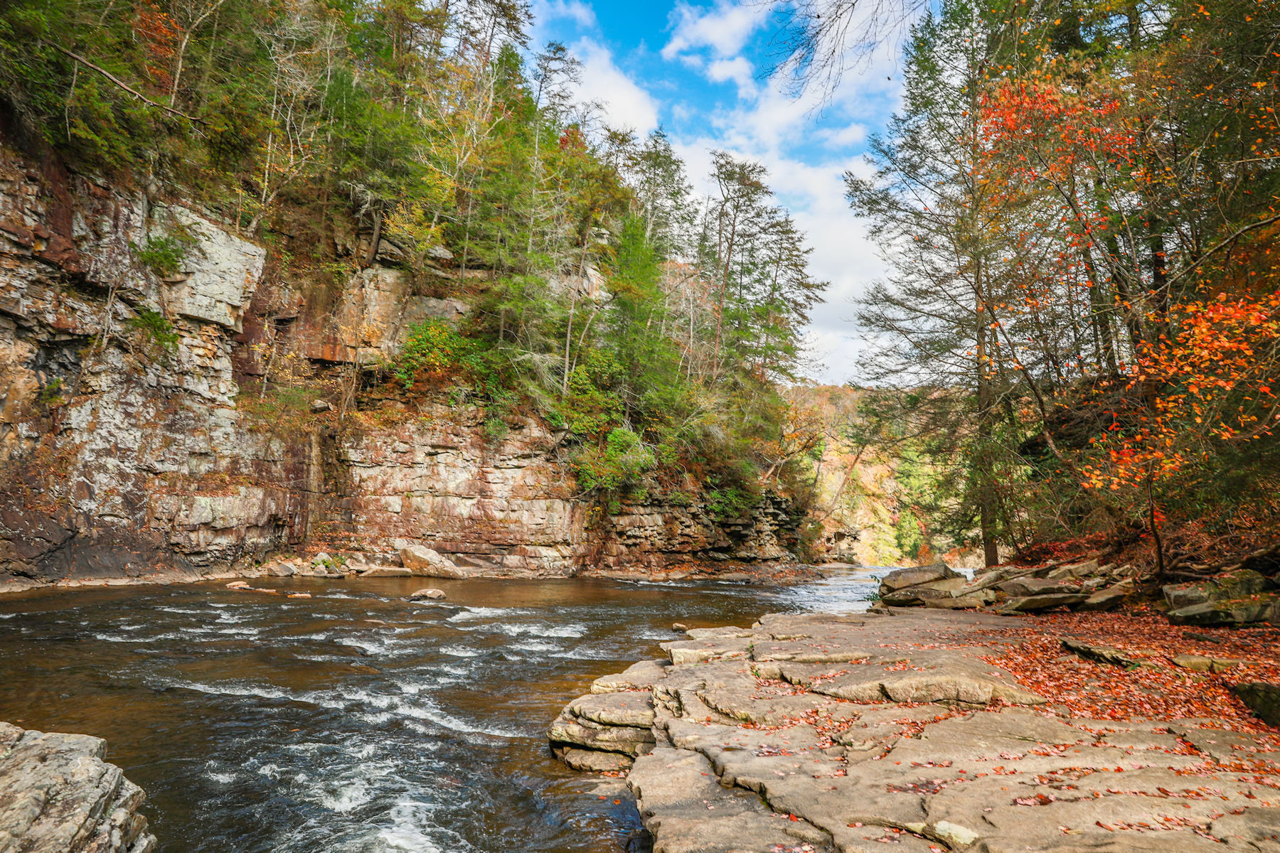 Preserve and Protect - Tennessee State Parks